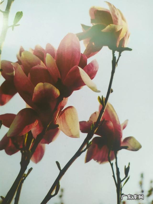 有哪些生活习惯是会严重危害身体健康的呢?