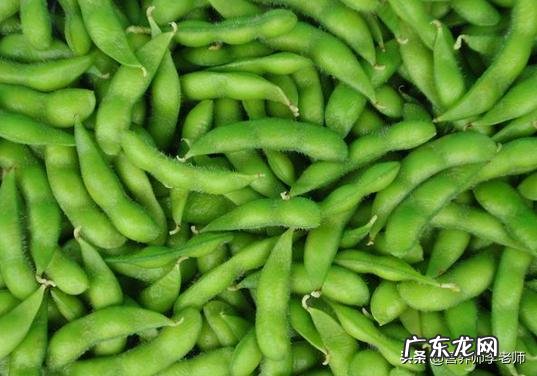 跳绳能不能减肥?二十分钟够不够?