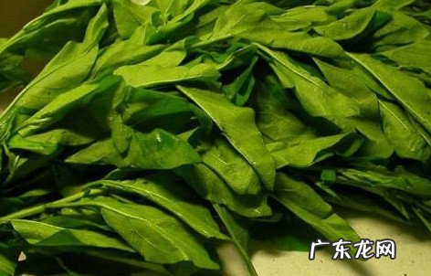 月经期枸杞叶能吃吗？月经期可以吃枸杞叶吗