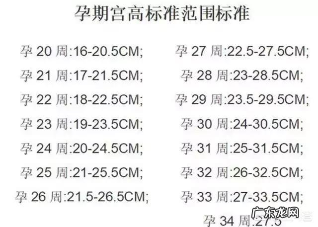 准爸爸如何给准妈妈测量宫高与腹围? 宫高腹围测胎儿大小准吗