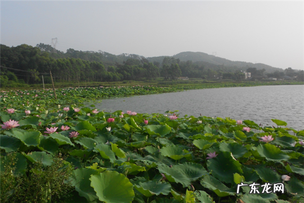 北海十大旅游景点 北海旅游景点排名前十