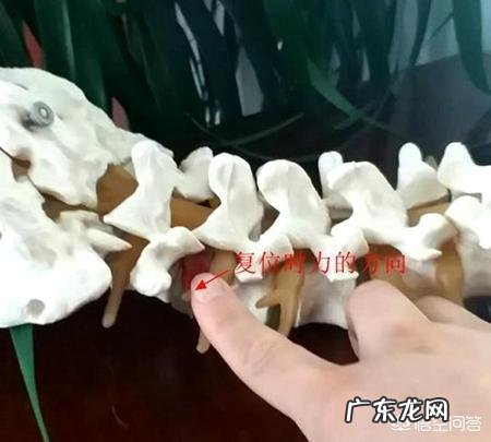 身边有哪些爱贪小便宜的笑话?