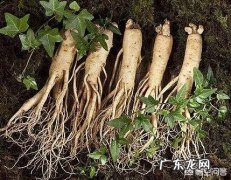 单糖人参皂苷对什么人有好处