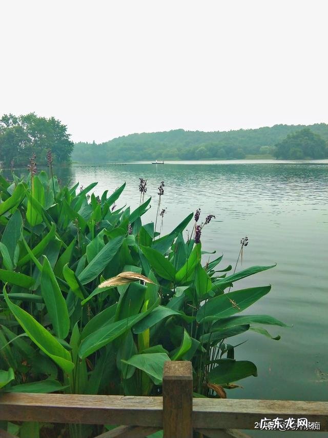 江苏人对东北人的印象是什么