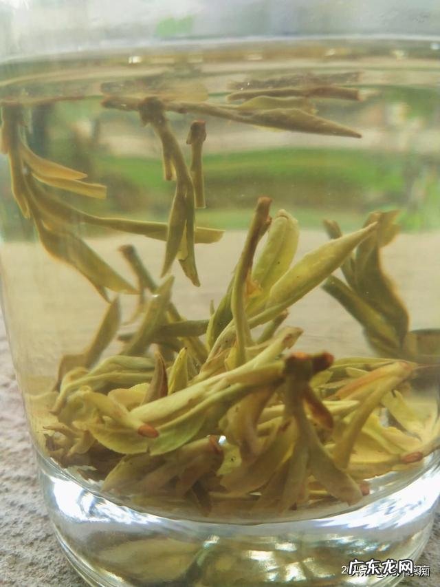 江苏人对东北人的印象是什么