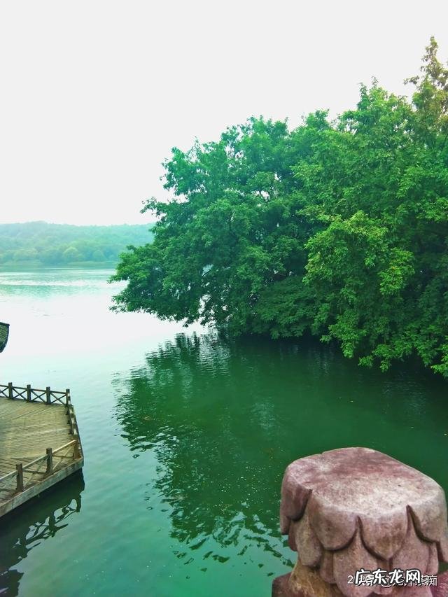 江苏人对东北人的印象是什么