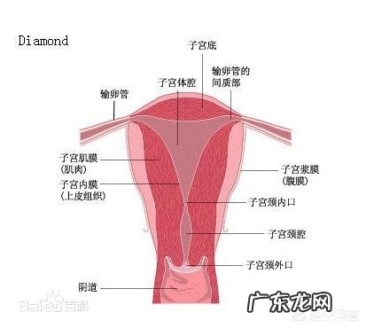 为什么女生来月经时,有的人会痛不欲生,有的人却没事呢