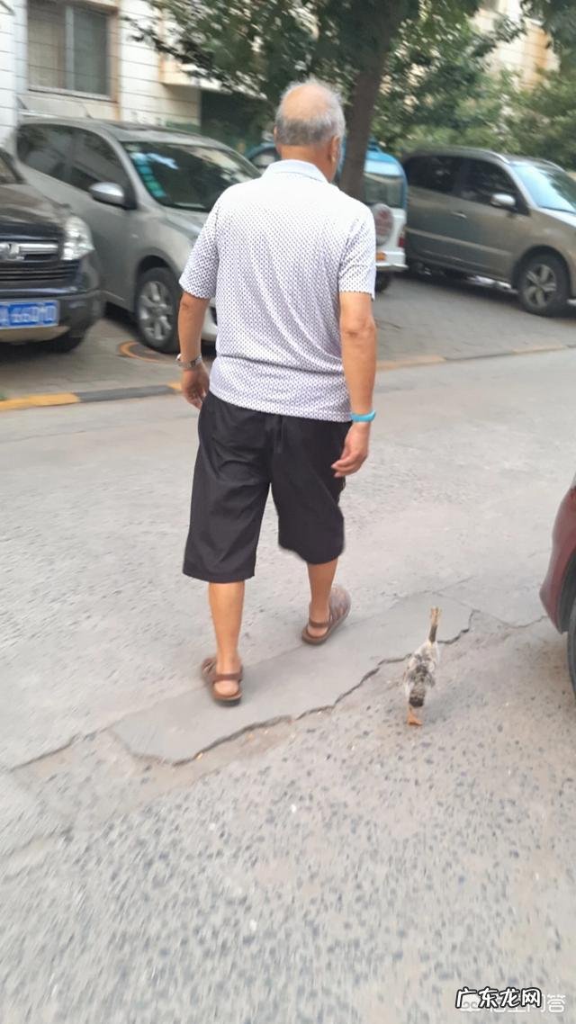 60岁男人每天走6公里,运动量超标了吗