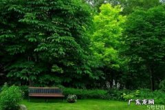 什么事情最伤害眼睛呢 伤害眼睛的有什么事情呢