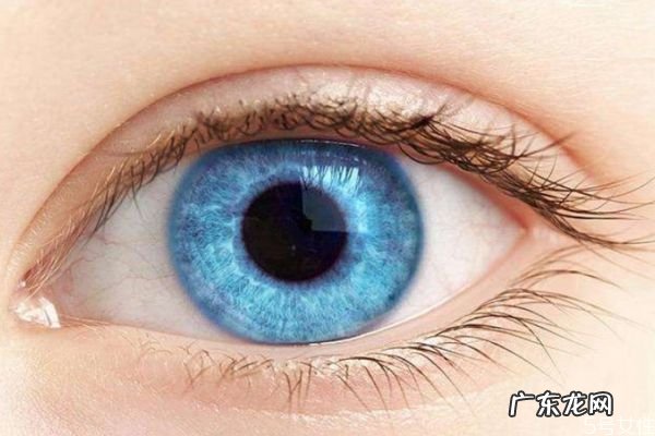 保护眼睛的办法有什么呢 如何保护眼睛呢