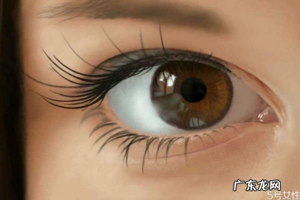 保护眼睛的办法有什么呢 如何保护眼睛呢