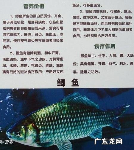 鲫鱼有什么营养价值？什么样的人千万不能吃鲫鱼？