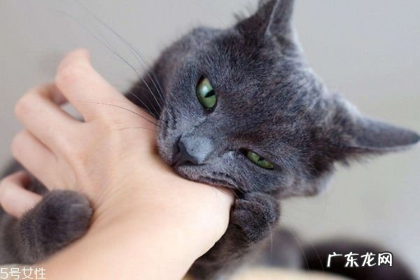 什么是狂犬病呢 狂犬病有什么症状呢