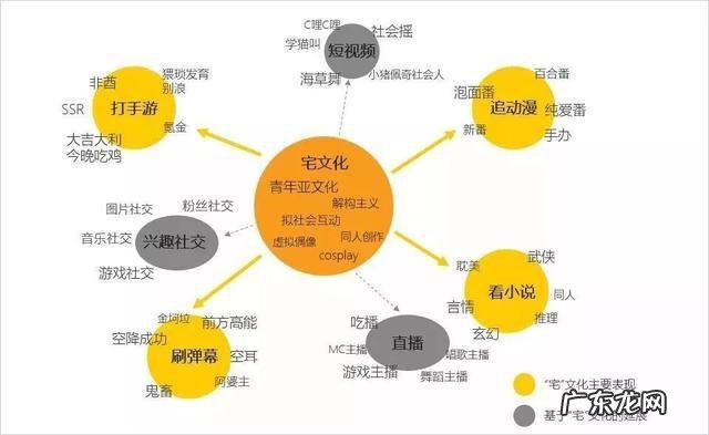 “x经济”的2021:Z世代成价值载体,增量发掘与存量博弈共存