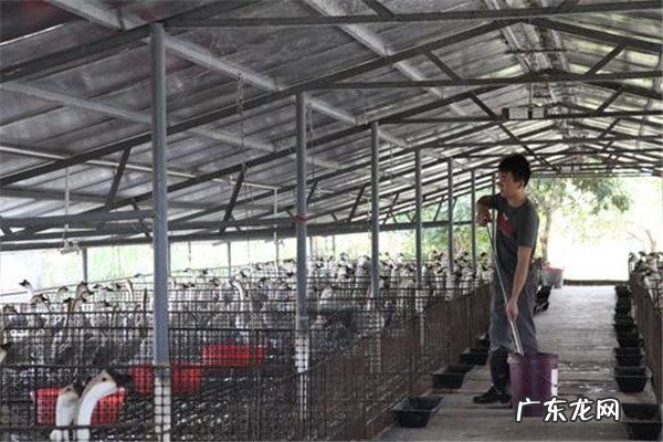 阳江饭店排行榜 阳江十大热门餐厅排名