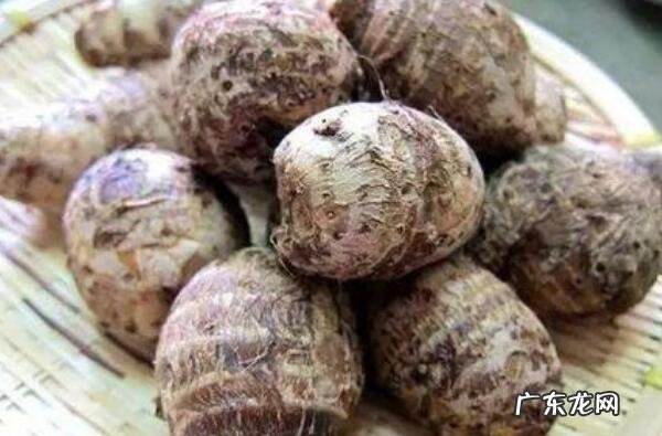 无锡市最有名的土特产 江苏无锡十大特产