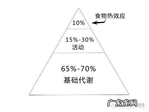 想要减肥瘦身,是否应该请私教呢?