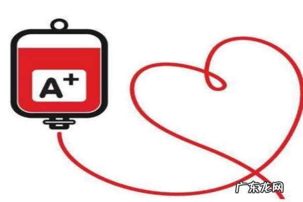 献血有什么注意事项呢 献血有什么要求呢