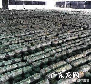 如何用家用冰箱保存食用菌菌种