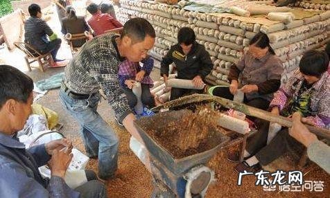 如何用家用冰箱保存食用菌菌种