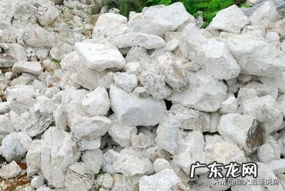 如何用家用冰箱保存食用菌菌种