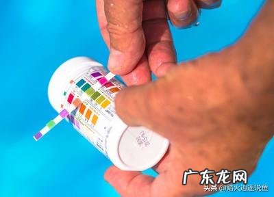 如何用家用冰箱保存食用菌菌种