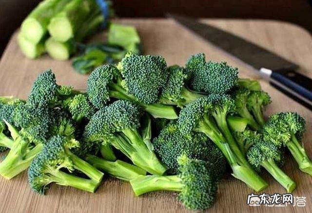 肝气影响肝健康,好的养肝方法有哪些