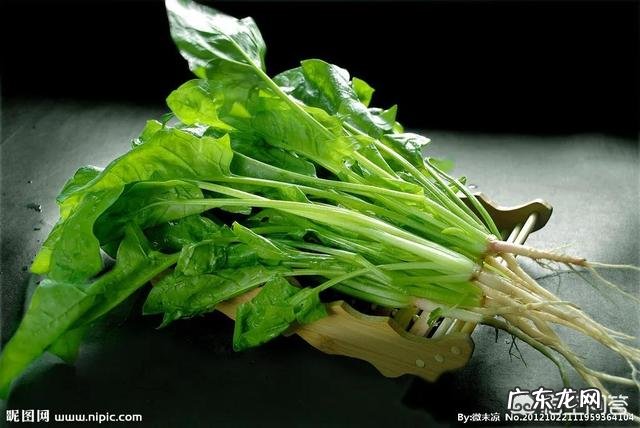 吃肉减肥法的原理和危害,减肥为什么要吃肉