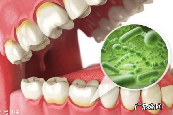 怎么预防口臭 如何预防口臭问题