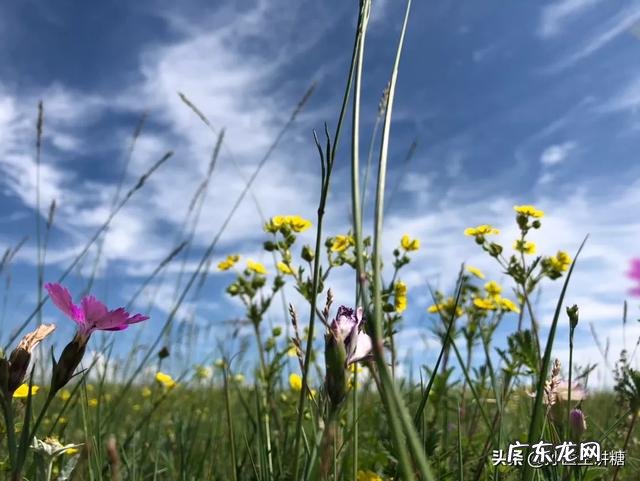 餐后血糖升高是得了糖尿病吗?日常需要注意什么?