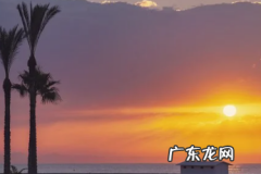 淘宝新品前期怎么补单？有哪些技巧？