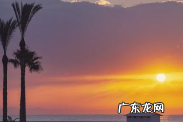 淘宝新品前期怎么补单？有哪些技巧？