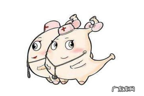 肠胃不好应该多吃点什么东西呢 肠胃不好应该怎么办呢