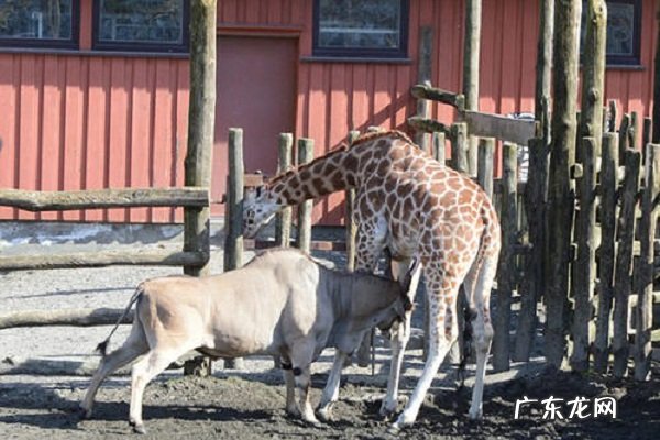 挪威十大景点 挪威好玩的景点排名前十