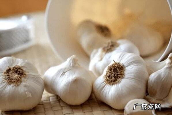 中国十大名贵药材 中国十大知名植物药材