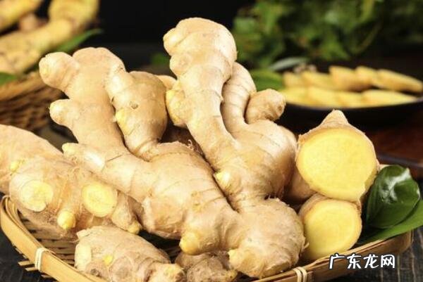 中国十大名贵药材 中国十大知名植物药材