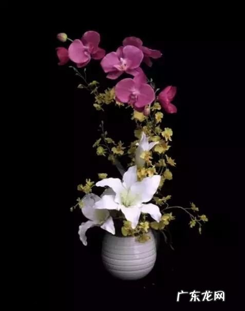 十大珍稀植物 十大名贵植物排行