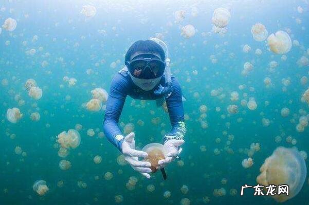 世界上最奇怪的湖泊 世界最奇特的十大湖泊