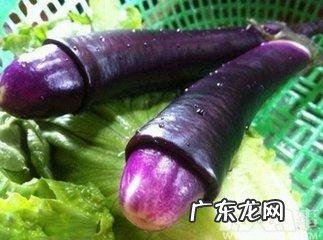 吃什么食物可以补气血呢?我不爱吃甜的?