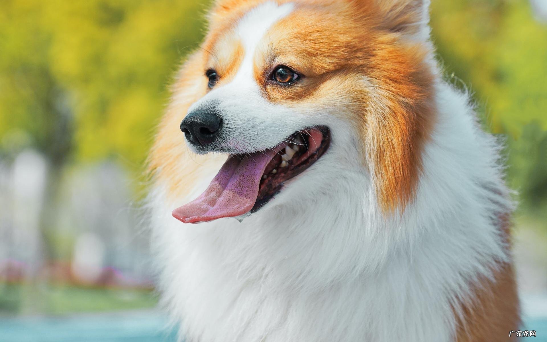 什么样的减肥产品是被国家认证的 效果好么