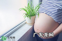 怀孕了体重下降怎么回事?怀孕了体重下降怎么办?