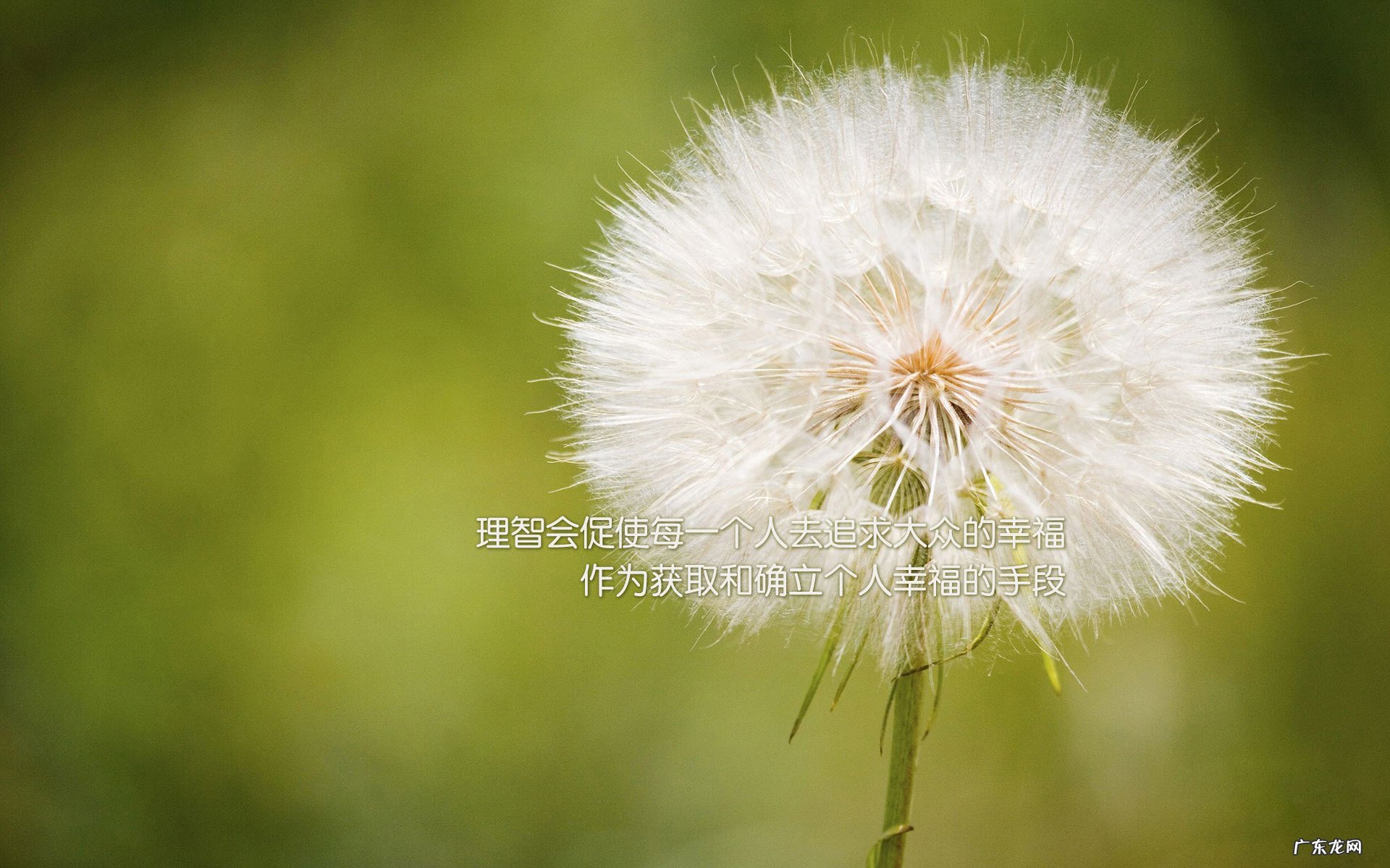 香蕉可以和牛奶一起吃会怎么样