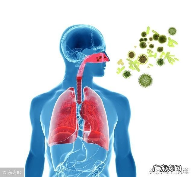 为什么患糖尿病会导致体重下降?