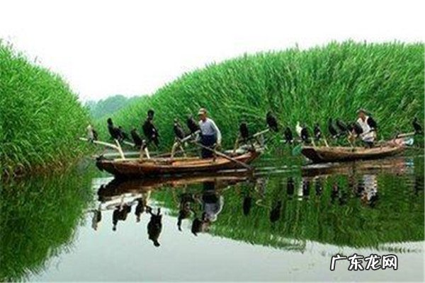 沧州游乐场都有什么项目 沧州好玩的游乐场排名前十