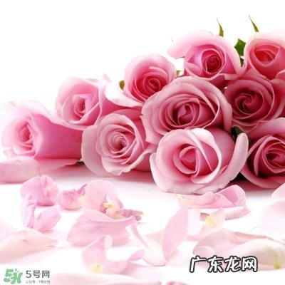 孕妇不能碰那些花 孕期避开的花有哪些