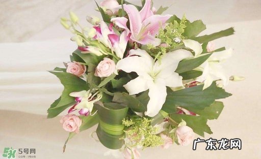 孕妇不能碰那些花 孕期避开的花有哪些