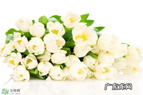 孕妇不能碰那些花 孕期避开的花有哪些