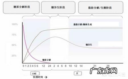 如果一直不吃米饭，有没有可能变瘦？有哪些好的减肥方法推荐？