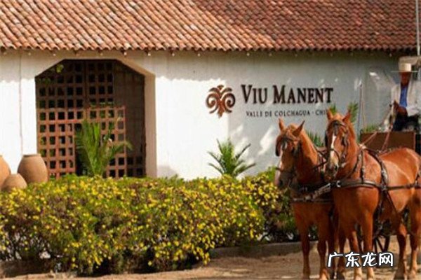 智利葡萄酒酒庄排名 智利最好的酒庄是哪些？智利十大酒庄排名