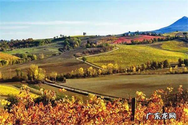 智利葡萄酒酒庄排名 智利最好的酒庄是哪些？智利十大酒庄排名